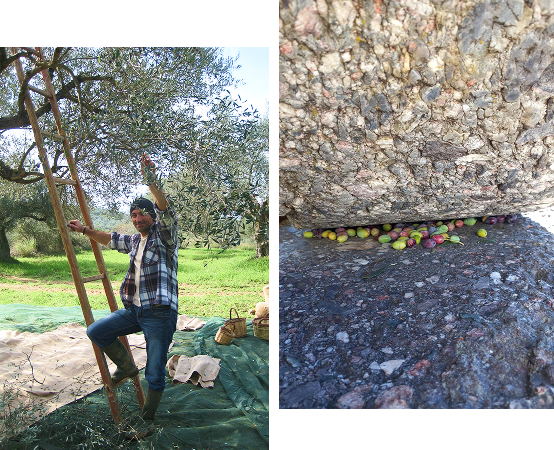 image Η ΕΤΑΙΡΕΙΑ