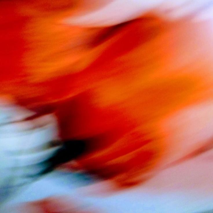 photo The Flow Philosophy