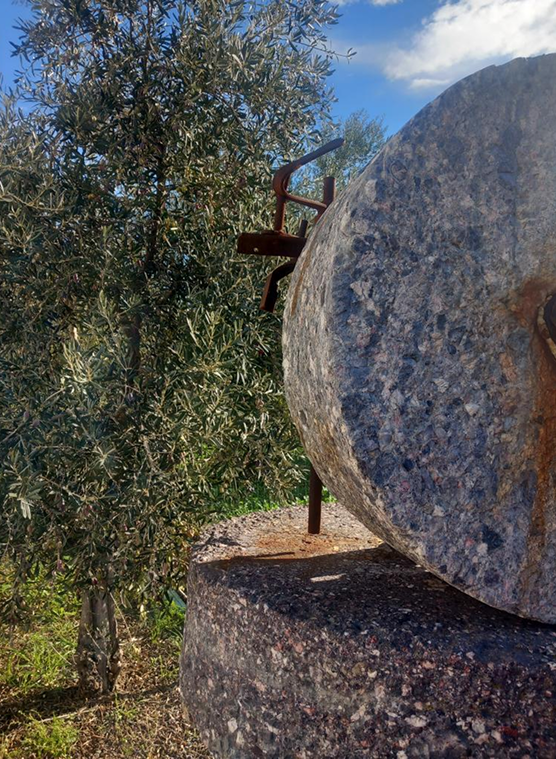 Το Βιολογικό Χωριό image 2