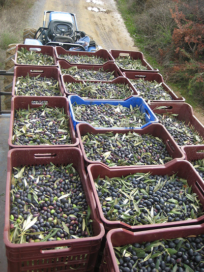 Η ΕΤΑΙΡΕΙΑ image 299899