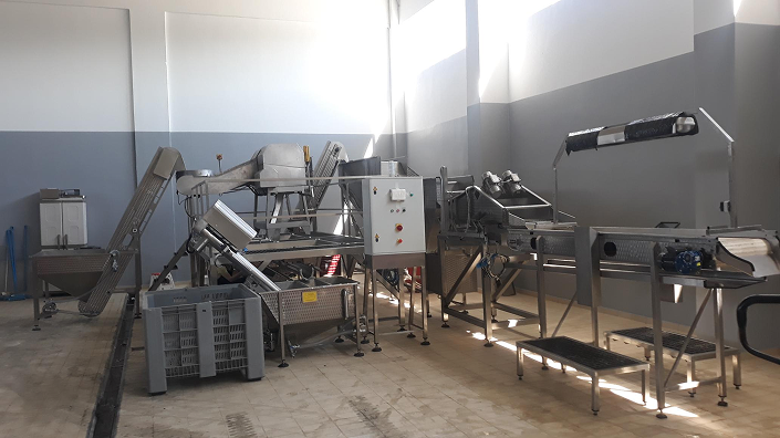 image Τυποποίηση ελαιολάδου 2 299964